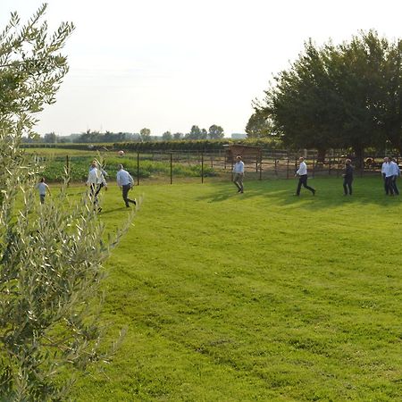Agriturismo Al Casale Lonigo Exterior foto